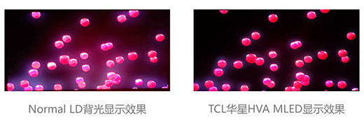 TCLAǌF(xin)MiniLED늸@ʾa(chn)ͻ